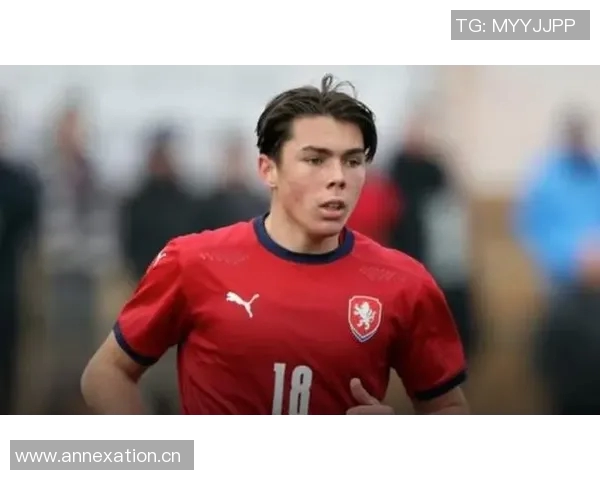 德国U19青年队迎战北爱尔兰全力争胜展现青春风采